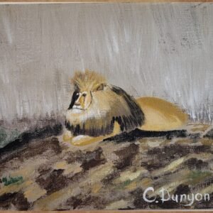 Lion Looking Out Over The Pride Print