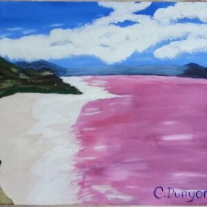 Pink Water in the Great Salt Lake Print