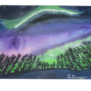 Looking Up At The Northern Lights Print